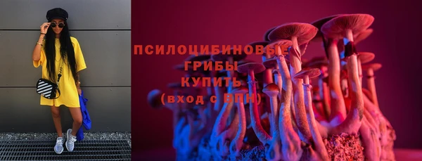 круглые Алзамай