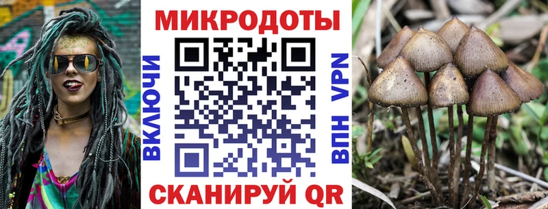 mega ТОР  Нея  Псилоцибиновые грибы мухоморы 